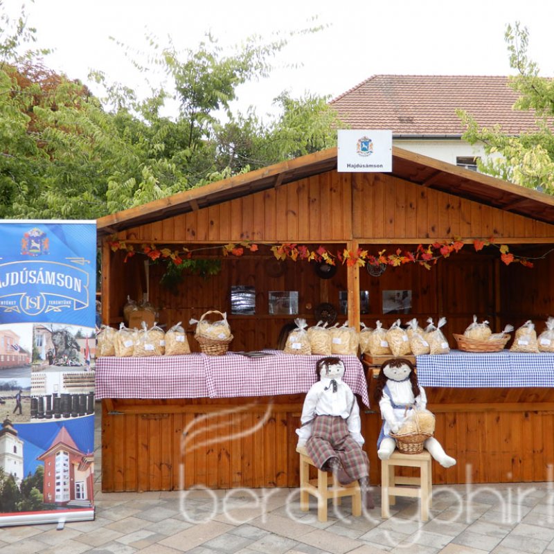 Helyi Értékek Startja 88